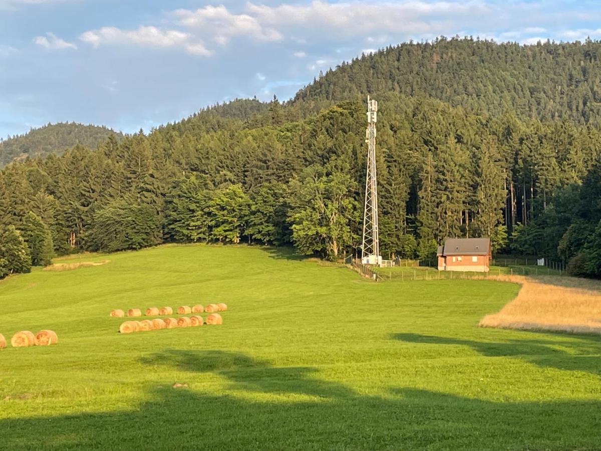Sloneczne Apartamenty Sokolowsko Exterior foto